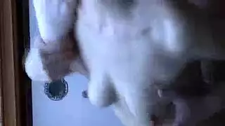 مرات ابوه مترجم بزاز