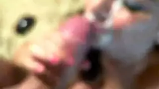 مص ونيك حتى يتدفق المني