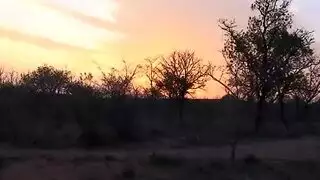 فيديوات نيك جزائريةفي الغابة