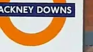 الزوجان في سن المراهقة في حالة سكر مص ويمارس الجنس في العشب