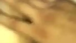 تحرش حيوانات